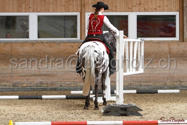28-ApHC OT_270.jpg